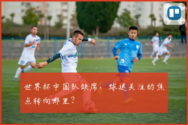 世界杯中国队缺席，球迷关注的焦点转向哪里？