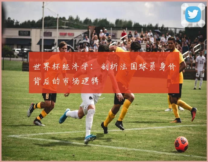 世界杯经济学:剖析法国球员身价背后的市场逻辑