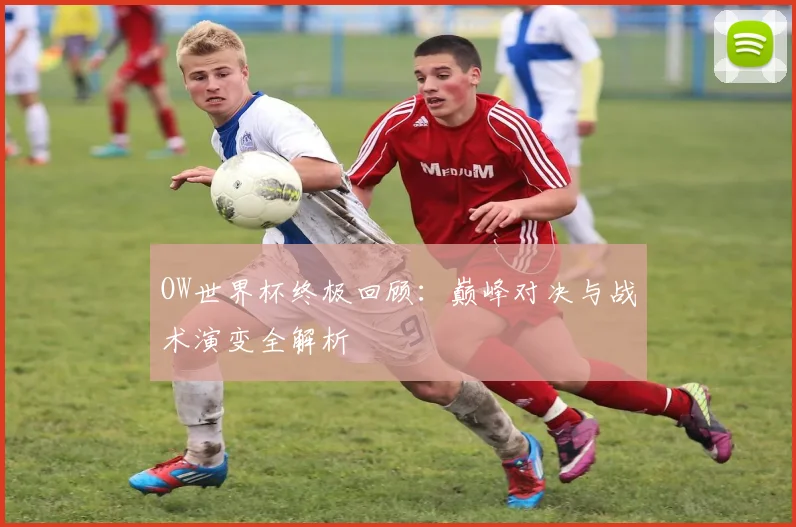 OW世界杯终极回顾:巅峰对决与战术演变全解析
