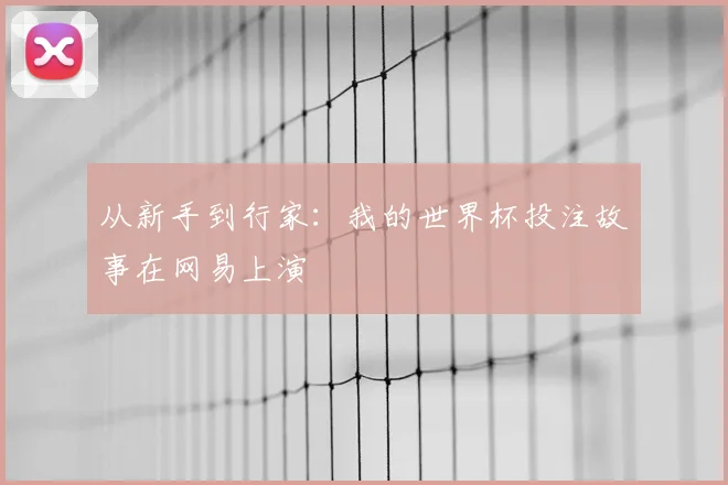 从新手到行家：我的世界杯投注故事在网易上演