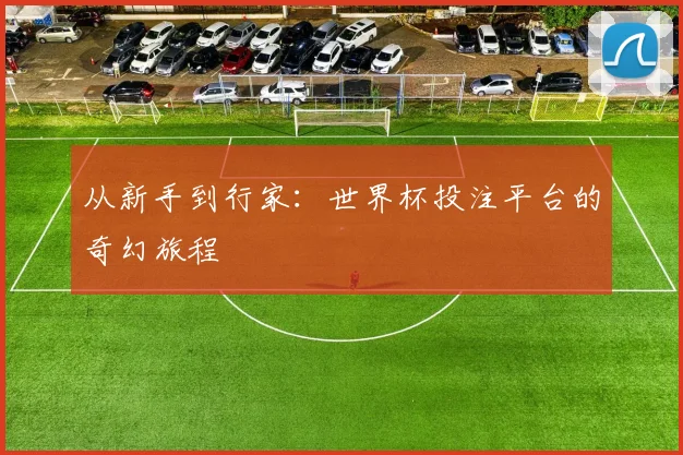 从新手到行家：世界杯投注平台的奇幻旅程