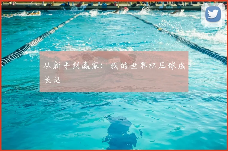 从新手到赢家：我的世界杯压球成长记