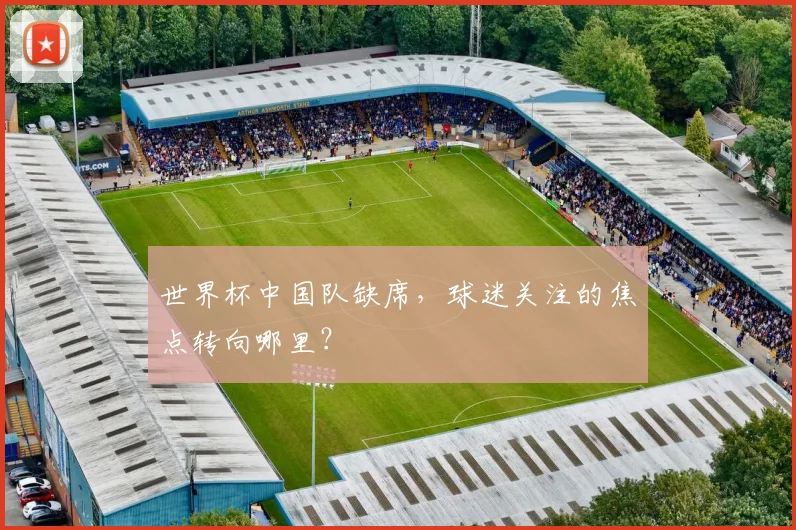 世界杯中国队缺席，球迷关注的焦点转向哪里？