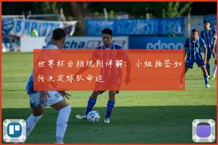 世界杯分档规则详解：小组抽签如何决定球队命运
