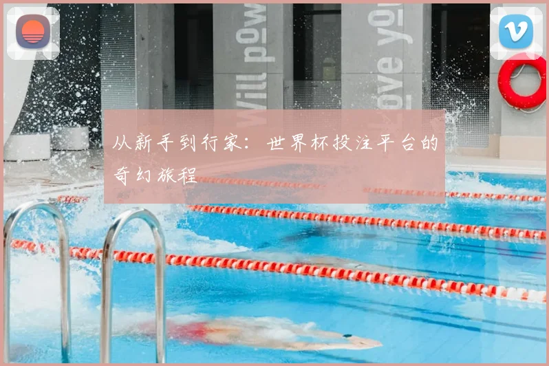 从新手到行家：世界杯投注平台的奇幻旅程