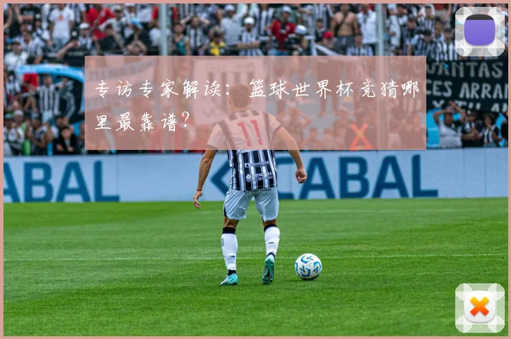 专访专家解读：篮球世界杯竞猜哪里最靠谱？