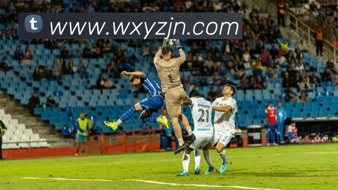 k1官方网站APP 体育赛事宣传图